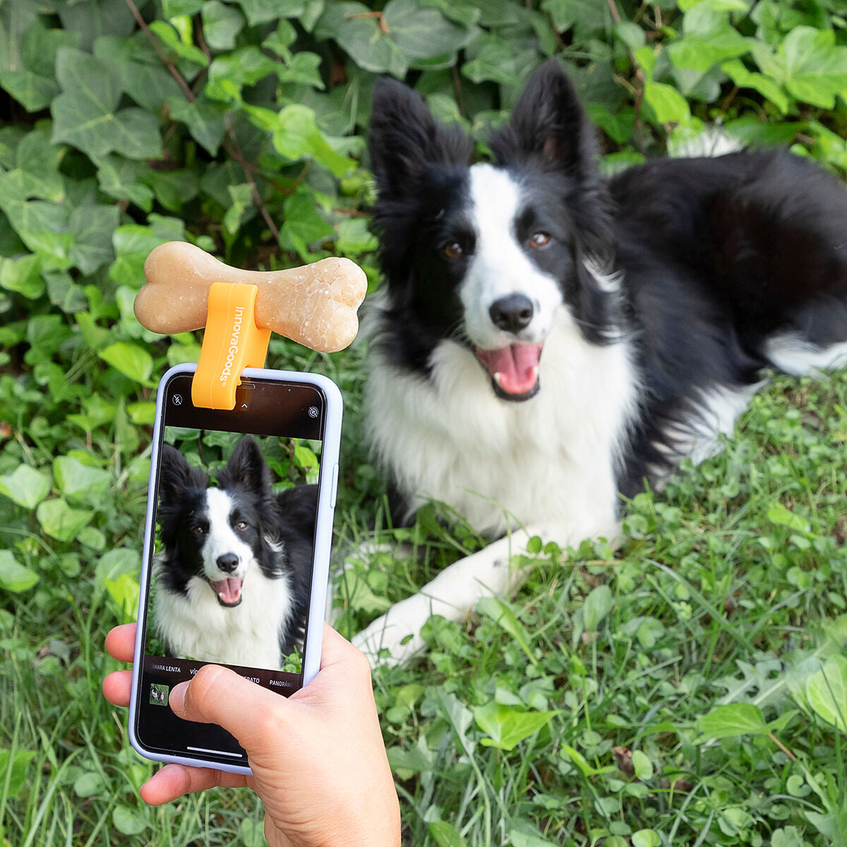 Selfie-klipsi lemmikille Pefie InnovaGoods